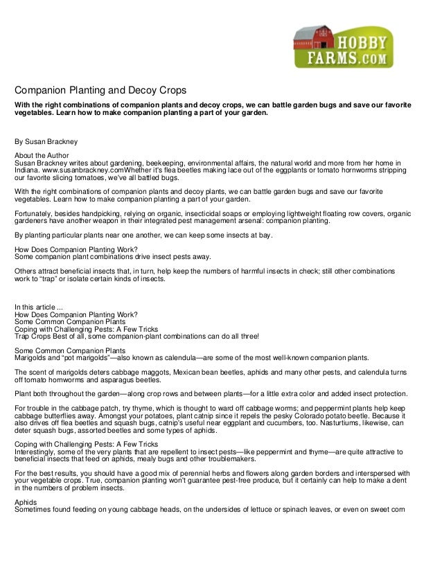 Companion Planting and Decoy Crops Hobby Farms