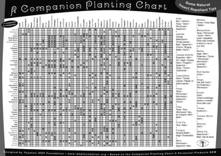 Companion Planting Chart - IDEP Foundation