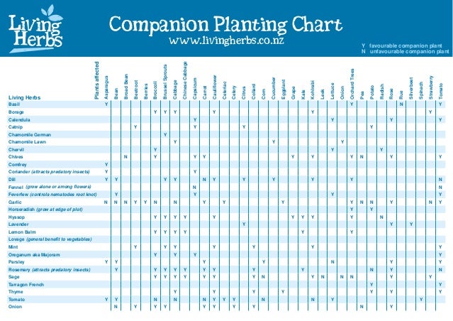 Companion Planting Chart Pdf