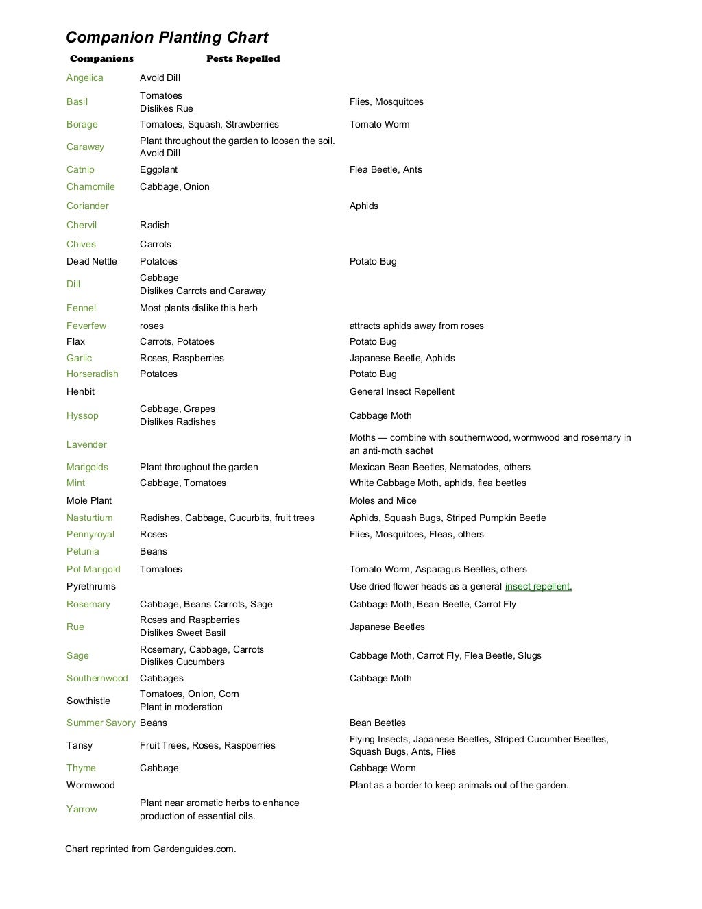 Companion Planting Chart Wake Forest Herbfest, North Carolina