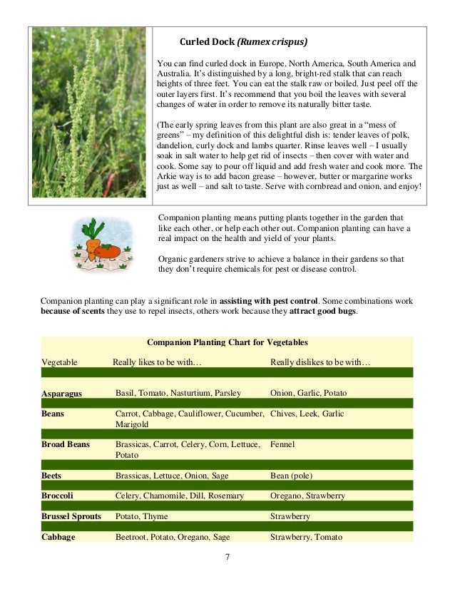 Companion Planting Chart for Vegetables University of Arkansas