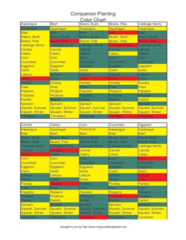 Companion Planting Color Chart