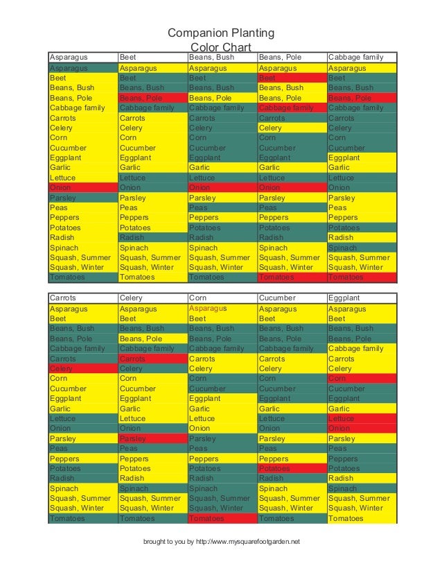 Companion Planting Color Chart - My Square Foot Garden