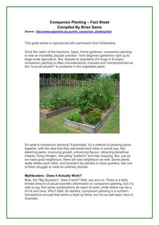 Companion Planting – Fact Sheet
                     Compiled By Brian Sams
Source : http://www.sgaonline.org.au/info_companion_planting.html



This great article is reproduced with permission from SGAonline.

Once the realm of the hardcore, hippy, home gardener, companion planting
is now an incredibly popular practice - from beginner gardeners right up to
large-scale agriculture. But, despite its popularity (it's huge in Europe),
companion planting is often misunderstood, misused and misrepresented as
the "cure-all solution" to problems in the vegetable patch.




So what is companion planting? Essentially, it's a method of growing plants
together, with the idea that they will assist each other in some way, like
deterring pests, improving growth, enhancing flavour, attracting beneficial
insects, fixing nitrogen, disrupting "patterns" and trap cropping. But, just as
we have good neighbours, there are bad neighbours as well. Some plants
really dislike each other, and shouldn't be planted in close quarters, lest one
of them struggle or meet its untimely demise.

Mythbusters - Does it Actually Work?
Now, the "Big Question": does it work? Well, yes and no. There is a fairly
limited amount of actual scientific information on companion planting, but it is
safe to say that some combinations do seem to work, while others can be a
bit hit and miss. Why? Well, for starters, companion planting is a northern
hemisphere concept that works a treat up there, but not as well down here in
Australia.
 