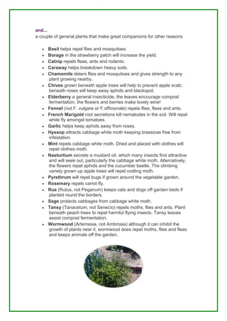 and...
a couple of general plants that make great companions for other reasons

   •   Basil helps repel flies and mosquitoes.
   •   Borage in the strawberry patch will increase the yield.
   •   Catnip repels fleas, ants and rodents.
   •   Caraway helps breakdown heavy soils.
   •   Chamomile deters flies and mosquitoes and gives strength to any
       plant growing nearby.
   •   Chives grown beneath apple trees will help to prevent apple scab;
       beneath roses will keep away aphids and blackspot.
   •   Elderberry a general insecticide, the leaves encourage compost
       fermentation, the flowers and berries make lovely wine!
   •   Fennel (not F. vulgare or F.officionale) repels flies, fleas and ants.
   •   French Marigold root secretions kill nematodes in the soil. Will repel
       white fly amongst tomatoes.
   •   Garlic helps keep aphids away from roses.
   •   Hyssop attracts cabbage white moth keeping brassicas free from
       infestation.
   •   Mint repels cabbage white moth. Dried and placed with clothes will
       repel clothes moth.
   •   Nasturtium secrete a mustard oil, which many insects find attractive
       and will seek out, particularly the cabbage white moth. Alternatively,
       the flowers repel aphids and the cucumber beetle. The climbing
       variety grown up apple trees will repel codling moth.
   •   Pyrethrum will repel bugs if grown around the vegetable garden.
   •   Rosemary repels carrot fly.
   •   Rue (Rutus, not Peganum) keeps cats and dogs off garden beds if
       planted round the borders.
   •   Sage protects cabbages from cabbage white moth.
   •   Tansy (Tanacetum, not Senecio) repels moths, flies and ants. Plant
       beneath peach trees to repel harmful flying insects. Tansy leaves
       assist compost fermentation.
   •   Wormwood (Artemesia, not Ambrosia) although it can inhibit the
       growth of plants near it, wormwood does repel moths, flies and fleas
       and keeps animals off the garden.
 