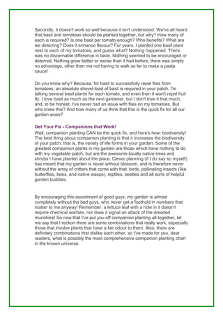 Secondly, it doesn't work so well because it isn't understood. We've all heard
that basil and tomatoes should be planted together, but why? How many of
each is required? Is one basil per tomato enough? Who benefits? What are
we deterring? Does it enhance flavour? For years, I planted one basil plant
next to each of my tomatoes, and guess what? Nothing happened. There
was no discernable difference in taste. Nothing seemed to be encouraged or
deterred. Nothing grew better or worse than it had before, there was simply
no advantage, other than me not having to walk so far to make a pasta
sauce!

Do you know why? Because, for basil to successfully repel flies from
tomatoes, an absolute shovel-load of basil is required in your patch. I'm
talking several basil plants for each tomato, and even then it won't repel fruit
fly. I love basil as much as the next gardener, but I don't love it that much,
and, to be honest, I've never had an issue with flies on my tomatoes. But
who knew this? And how many of us think that this is the quick fix for all our
garden woes?

Get Your Fix - Companions that Work!
Well, companion planting CAN be the quick fix, and here's how: biodiversity!
The best thing about companion planting is that it increases the biodiversity
of your patch; that is, the variety of life forms in your garden. Some of the
greatest companion plants in my garden are those which have nothing to do
with my vegetable patch, but are the awesome locally native trees and
shrubs I have planted about the place. Clever planning (if I do say so myself)
has meant that my garden is never without blossom, and is therefore never
without the array of critters that come with that: birds, pollinating insects (like
butterflies, bees, and native wasps), reptiles, beetles and all sorts of helpful
garden buddies.


By encouraging this assortment of good guys, my garden is almost
completely without the bad guys, who never get a foothold in numbers that
matter to me anyway! Remember, a lettuce leaf with a hole in it doesn't
require chemical warfare, nor does it signal an attack of the dreaded
munchies! So now that I've put you off companion planting all together, let
me say that I reckon there are some combinations that really work, especially
those that involve plants that have a fair odour to them. Also, there are
definitely combinations that dislike each other, so I've made for you, dear
readers, what is possibly the most comprehensive companion planting chart
in the known universe.
 