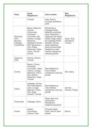Good                                         Bad
Plant                               How it works
               Neighbours                                   Neighbours

               Tomato               yield. Said to
                                    increase strawberry
                                    yield.

               Beans, Beetroot,     Dill attracts a
               Carrots,             Cabbage White
               Chamomile,           Butterfly controlling
               Coriander,           wasp. Nasturtium
Brassicas      Cucumber, Dill,      disguises and repels
(Incl:         Lettuce, Lovage,     aphids. Sage repels     Garlic, Rue,
Broccoli,      Marjoram,            the Cabbage White       Strawberry,
Cabbage,       Marigold (French),   Butterfly. Zinnias      Tomato
Cauliflower)   Mint, Nasturtium,    attract ladybirds,
               Pea, Potato,         which we love! Bad
               Rosemary, Sage,      Neighbours roots
               Tansy, Thyme,        release substances
               Zinnias              reducing growth

Capsicum,      Carrots, Onions,
Chilli         Tomato

               Beans, Chives,
               Coriander,
               Cucumber, Leeks,     Bad Neighbours
               Lettuce, Lovage,     roots release
Carrots                                                     Dill, Celery
               Marjoram, Onion,     substances reducing
               Pea, Radish,         growth
               Rosemary, Sage,
               Tomato

               Cabbage, Chives,
               Dill, Dwarf Beans,   Bad Neighbours
               Leek, Lovage,        roots release           Carrots,
Celery
               Majoram, Onion,      substances reducing     Parsnip, Potato
               Pea, Sage,           growth
               Spinach, Tomato

                                    Deters flies and
                                    mosquitoes.
Chamomile      Cabbage, Onion
                                    Strengthens
                                    neighbouring plants

               Apples,              Prevents Apple
Chives         Cucumbers,           Scab. Said to deter     Beans
               Lettuce, Peas        aphids
 