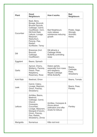 Good                                         Bad
Plant                            How it works
            Neighbours                                   Neighbours

            Basil, Bens,
            Borage, Broccoli,
            Brussel Sprouts,
            Cabbage, Carrot,
            Cauliflower, Corn,   Bad Neighbours          Potato, Sage,
            Dill Kohl Rabi,      roots release           Strongly
Cucumber
            Lettuce, Lovage,     substances reducing     Aromatic
            Marjoram,            growth                  Herbs
            Nasturtium,
            Parsnip, Pea,
            Radish,
            Sunflower, Tansy

            Brassicas (Incl:     Dill attracts a
            Broccoli,            Cabbage White
Dill
            Cabbage,             Butterfly controlling
            Cauliflower)         wasp

Eggplant    Beans, Spinach

            Apricot, Cherry,     Deters aphids,
                                                         Beans,
            Mulberry, Parsnip,   especially from roses
                                                         Cabbage,
Garlic      Peach, Pear,         and raspberry.
                                                         Peas,
            Raspberry,           Repels Cabbage
                                                         Strawberry
            Rosemary, Rose       White Butterfly

Kohl Rabi   Beetroot, Onion                              Beans, Tomato

            Carrot, Celery,
            Lovage, Majoram,                             Beans, Peas,
Leek
            Onion, Parsnip,                              Parsley
            Strawberry

            Achillea, Beans,
            Beetroot,
            Cabbage, Carrot,
            Chervil,
                                 Achillea, Coreopsis &
            Coreopsis,
                                 Zinnia attract
Lettuce     Cucumber,                                    Parsley
                                 pollinators and offer
            Lovage, Marjoram,
                                 shade for lettuce
            Marigold (French),
            Onion, Parsnip,
            Pea, Radish,
            Strawberry, Zinnia

Marigolds   Numerous             Kills root knot
 