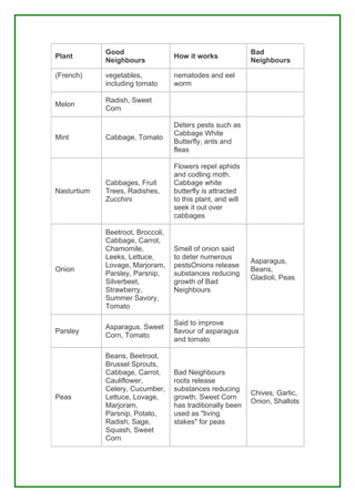 Good                                            Bad
Plant                              How it works
             Neighbours                                      Neighbours

(French)     vegetables,           nematodes and eel
             including tomato      worm

             Radish, Sweet
Melon
             Corn

                                   Deters pests such as
                                   Cabbage White
Mint         Cabbage, Tomato
                                   Butterfly, ants and
                                   fleas

                                   Flowers repel aphids
                                   and codling moth.
             Cabbages, Fruit       Cabbage white
Nasturtium   Trees, Radishes,      butterfly is attracted
             Zucchini              to this plant, and will
                                   seek it out over
                                   cabbages

             Beetroot, Broccoli,
             Cabbage, Carrot,
             Chamomile,            Smell of onion said
             Leeks, Lettuce,       to deter numerous
                                                             Asparagus,
             Lovage, Marjoram,     pestsOnions release
Onion                                                        Beans,
             Parsley, Parsnip,     substances reducing
                                                             Gladioli, Peas
             Silverbeet,           growth of Bad
             Strawberry,           Neighbours
             Summer Savory,
             Tomato

                                   Said to improve
             Asparagus, Sweet
Parsley                            flavour of asparagus
             Corn, Tomato
                                   and tomato

             Beans, Beetroot,
             Brussel Sprouts,
             Cabbage, Carrot,      Bad Neighbours
             Cauliflower,          roots release
             Celery, Cucumber,     substances reducing
                                                             Chives, Garlic,
Peas         Lettuce, Lovage,      growth. Sweet Corn
                                                             Onion, Shallots
             Marjoram,             has traditionally been
             Parsnip, Potato,      used as "living
             Radish, Sage,         stakes" for peas
             Squash, Sweet
             Corn
 