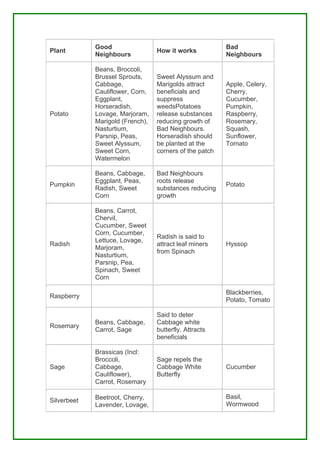 Good                                        Bad
Plant                             How it works
             Neighbours                                  Neighbours

             Beans, Broccoli,
             Brussel Sprouts,     Sweet Alyssum and
             Cabbage,             Marigolds attract      Apple, Celery,
             Cauliflower, Corn,   beneficials and        Cherry,
             Eggplant,            suppress               Cucumber,
             Horseradish,         weedsPotatoes          Pumpkin,
Potato       Lovage, Marjoram,    release substances     Raspberry,
             Marigold (French),   reducing growth of     Rosemary,
             Nasturtium,          Bad Neighbours.        Squash,
             Parsnip, Peas,       Horseradish should     Sunflower,
             Sweet Alyssum,       be planted at the      Tomato
             Sweet Corn,          corners of the patch
             Watermelon

             Beans, Cabbage,      Bad Neighbours
             Eggplant, Peas,      roots release
Pumpkin                                                  Potato
             Radish, Sweet        substances reducing
             Corn                 growth

             Beans, Carrot,
             Chervil,
             Cucumber, Sweet
             Corn, Cucumber,
                                  Radish is said to
             Lettuce, Lovage,
Radish                            attract leaf miners    Hyssop
             Marjoram,
                                  from Spinach
             Nasturtium,
             Parsnip, Pea,
             Spinach, Sweet
             Corn

                                                         Blackberries,
Raspberry
                                                         Potato, Tomato

                                  Said to deter
             Beans, Cabbage,      Cabbage white
Rosemary
             Carrot, Sage         butterfly. Attracts
                                  beneficials

             Brassicas (Incl:
             Broccoli,            Sage repels the
Sage         Cabbage,             Cabbage White          Cucumber
             Cauliflower),        Butterfly
             Carrot, Rosemary

             Beetroot, Cherry,                           Basil,
Silverbeet
             Lavender, Lovage,                           Wormwood
 