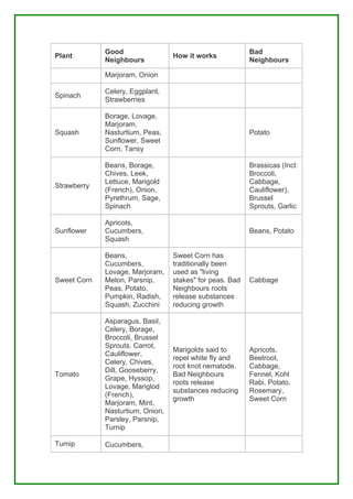 Good                                         Bad
Plant                             How it works
             Neighbours                                   Neighbours

             Marjoram, Onion

             Celery, Eggplant,
Spinach
             Strawberries

             Borage, Lovage,
             Marjoram,
Squash       Nasturtium, Peas,                            Potato
             Sunflower, Sweet
             Corn, Tansy

             Beans, Borage,                               Brassicas (Incl:
             Chives, Leek,                                Broccoli,
             Lettuce, Marigold                            Cabbage,
Strawberry
             (French), Onion,                             Cauliflower),
             Pyrethrum, Sage,                             Brussel
             Spinach                                      Sprouts, Garlic

             Apricots,
Sunflower    Cucumbers,                                   Beans, Potato
             Squash

             Beans,               Sweet Corn has
             Cucumbers,           traditionally been
             Lovage, Marjoram,    used as "living
Sweet Corn   Melon, Parsnip,      stakes" for peas. Bad   Cabbage
             Peas, Potato,        Neighbours roots
             Pumpkin, Radish,     release substances
             Squash, Zucchini     reducing growth

             Asparagus, Basil,
             Celery, Borage,
             Broccoli, Brussel
             Sprouts, Carrot,
                                  Marigolds said to       Apricots,
             Cauliflower,
                                  repel white fly and     Beetroot,
             Celery, Chives,
                                  root knot nematode.     Cabbage,
             Dill, Gooseberry,
Tomato                            Bad Neighbours          Fennel, Kohl
             Grape, Hyssop,
                                  roots release           Rabi, Potato,
             Lovage, Mariglod
                                  substances reducing     Rosemary,
             (French),
                                  growth                  Sweet Corn
             Marjoram, Mint,
             Nasturtium, Onion,
             Parsley, Parsnip,
             Turnip

Turnip       Cucumbers,
 