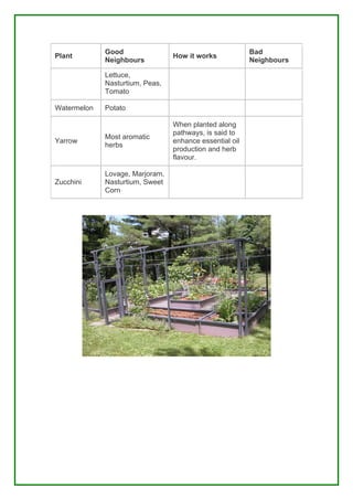 Good                                        Bad
Plant                            How it works
             Neighbours                                  Neighbours

             Lettuce,
             Nasturtium, Peas,
             Tomato

Watermelon   Potato

                                 When planted along
                                 pathways, is said to
             Most aromatic
Yarrow                           enhance essential oil
             herbs
                                 production and herb
                                 flavour.

             Lovage, Marjoram,
Zucchini     Nasturtium, Sweet
             Corn
 