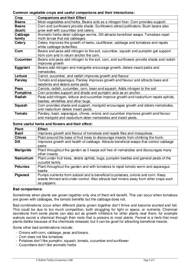Companion Planting Fact Sheet Darwin, Australia