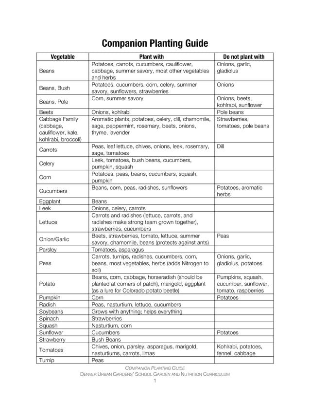 Pattison Planting Guide.pdf Companion Planting Guide - Denver Urban Gardens | PDF