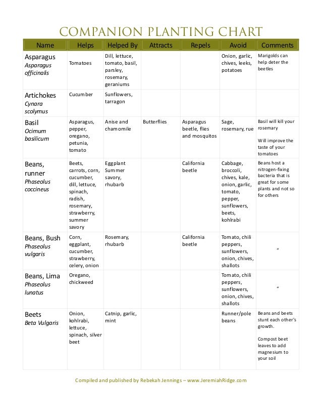 Companion Planting Guide Jeremiah Ridge Chilton County Alabama