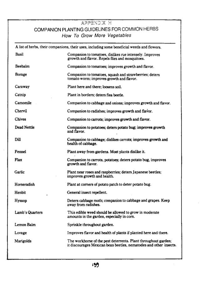 Companion Planting Guidelines for Common Herbs, How to Grow More Vege…
