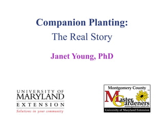 Companion Planting:
  The Real Story
   Janet Young, PhD
 