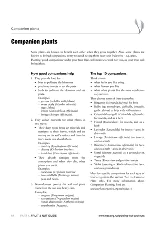 Companion plants



Companion plants
            Some plants are known to benefit each other when they grow together. Also, some plants are
            known to be bad companions, so try to avoid having them near your fruit trees – e.g. grass.
            Planting 'good companions' under your fruit trees will mean less work for you, as your trees will
            be healthier.


            How good companions help                            The top 10 companions
            1.	 They provide food for:                          Think about:
                •	 bees to pollinate the blossoms               •	 what herbs you like using
                •	 predatory insects to eat the pests           •	 what flowers you like
                •	 birds to pollinate the blossoms and eat      •	 what other plants like the same conditions
                   pests.                                          as your tree.
                	 Examples:                                     Then choose some of these examples:
                   -	 yarrow (Achillea millefolium)
                                                                •	 Bergamot (Monarda didyma) for bees
                   -	 sweet cicely (Myrrhis odorata)
                   -	 sage (Salvia)                             •	 Bulbs (eg snowdrops, daffodils, jonquils,
                   -	 lemon balm (Melissa officinalis)             garlic, chives) to help with soil nutrients
                   -	 borage (Borago officinalis).              •	 Calendula/marigold (Calendula officinalis)
                                                                   for insects, and as a herb
            2.	 They collect nutrients for other plants in
                                                                •	 Fennel (Foeniculum) for insects, and as a
                two ways:
                                                                   herb
                •	 Their deep roots bring up minerals and
                                                                •	 Lavender (Lavandula) for insects – good in
                   nutrients to their leaves, which end up
                                                                   drier soils
                   rotting on the soil's surface and then the
                                                                •	 Lovage (Levisticum officinale) for insects,
                   tree's roots can absorb them.
                                                                   and as a herb
                	 Examples:
                   -	 comfrey (Symphytum officinale)            •	 Rosemary (Rosmarinus officinalis) for bees,
                   -	 chicory (Cichorium intybus)                  and as a herb – good in drier soils
                   -	 dandelion (Taraxacum officinale)          •	 Sorrel (Rumex acetosa) as a groundcover,
                •	 They absorb nitrogen from the                   vegetable
                   atmosphere and when they die, other          •	 Tansy (Tanacetum vulgare) for insects
                   plants can use it.                           •	 Violet (creeping – (Viola odorata) for bees,
                	 Examples:                                        and as a groundcover
                   -	 red clover (Trifolium pratense)
                                                                Ideas for specific companions for each type of
                   -	 lucerne/alfalfa (Medicago sativa)
                                                                fruit are given in the  section 'Part 3 – Essential
                   -	 peas and beans.
                                                                Plant Info'. For more information about
            3.	 Groundcovers protect the soil and plant         Companion Planting, look at:
                roots from the sun and heavy rain.              www.urbanorganics.org.nz/node/36
            	   Examples:
                  -	 oregano (Origanum vulgare)
                  -	 nasturtiums (Tropaeolum majus)
                  -	 roman chamomile (Anthemis nobilis)
                  -	 strawberries (Fragaria).


64   PART 4: FRUIT & NUT GUIDE                                         www.nec.org.nz/growing-fruit-and-nuts
 