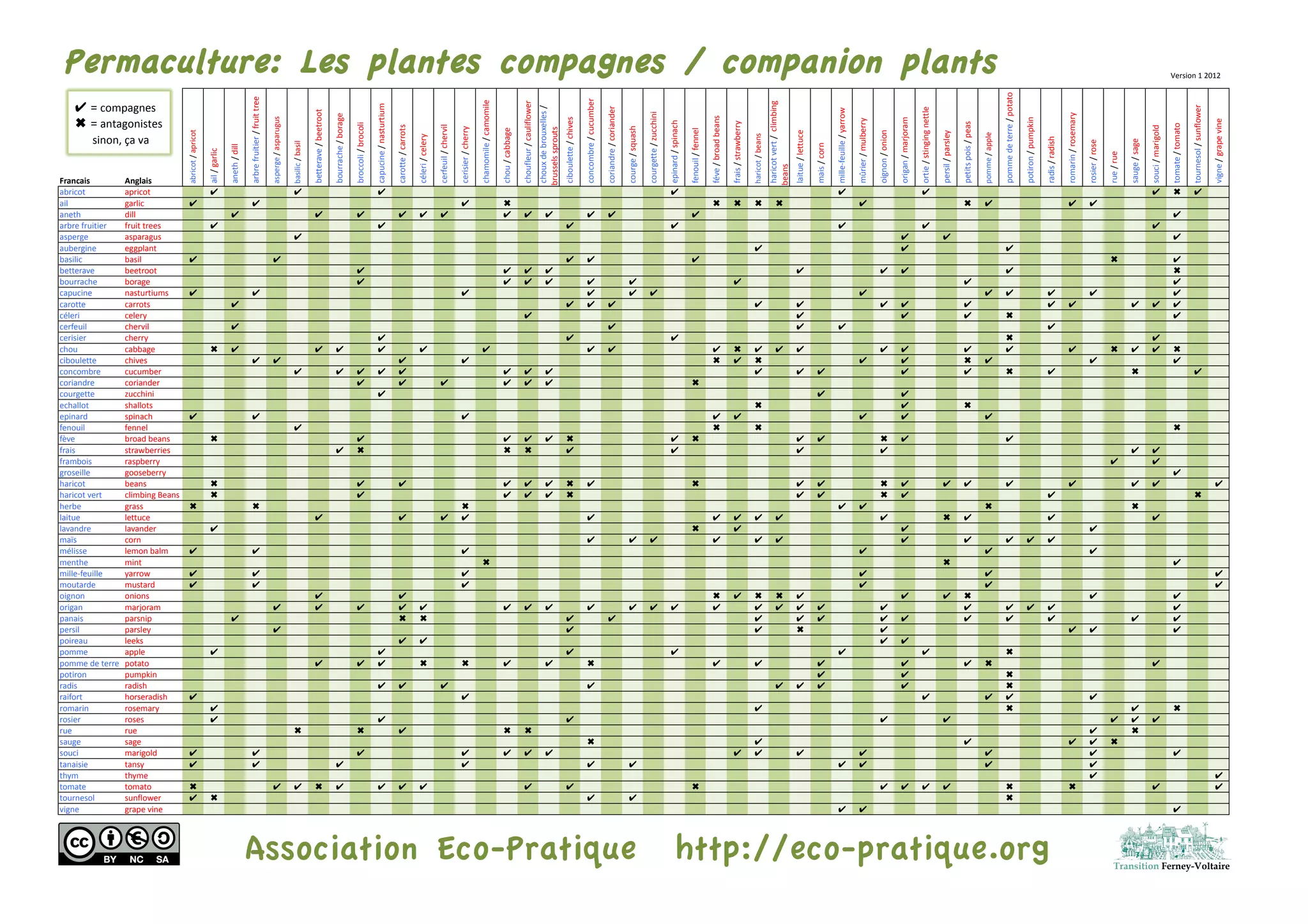 Companion Plants Chart EcoPratique PPT