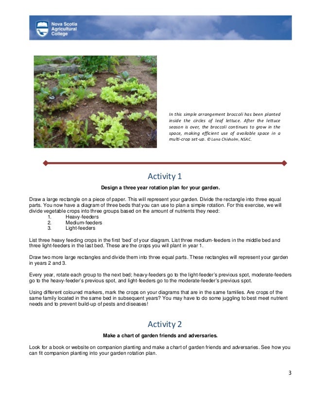 Crop Rotation and Companion Planting Nova Scotia Agricultural Colle…