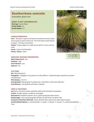 DROUGHT-BUSTING AUSTRALIAN NATIVE PLANTS                                                            SECTION 1:ACCENT PLANTS




  Xanthorrhoea australis
  Australian grass tree

  BASIC PLANT INFORMATION
  Plant type: Accent Plants
  Growth Height: 3 m
  Growth Spread: 1 m




 CHARACTERISTICS:
 Form: Develops a rough and sometimes branched trunk that is black
 and can grow to several metres tall. The trunk itself can take 30 years
 to appear. The long, narrow leaves.
 Flowers: Flowers appear on a spike and are white or cream and very
 small.
 Leaves: Leaves are bluish-green.
 Primary Colours: Green.

                                                                                                Click to View More
 DROUGHT BUSTING PROPERTIES:                                                                    Plant Images Online

 Water Requirement: Low.
 Hardiness: High.
 Frost Tolerance: Low.
 Exposure: Sun.


 CULTURE:
 Soil: Well-drained soil.
 Propagation: Propagation is by seeds, but is often difficult. A preferred option would be to purchase
 matured plants.
 Plant Spacing: 1.8-2.4 m.
 Growing Speed: Slow growing; it’s growth rate is only about 1 metre every 100 years.
 Pests/Diseases: Few problems with pests or diseases.


 USES & FEATURES:
 Use: Plant is attractive to bees, butterflies and/or birds (Australian honeyeaters).
 In brief: Drought resistant, suitable for xeriscaping.
 Best Features: Suitable for planters, this is a great accept plant when mature.
 Disadvantages: Very slow growing-takes 30 years for leaf tuft to rise above trunk.
 Companion Plants/Goes Well with: Grows well with other natives and a wide range of exotics.
 Varieties/Related Species: X. acanthostachya · X. acaulis · X. arborea · X. arenaria · X. australis (Austral Grass-
 Tree).




 NELSON SCOTT | AUSTRALIAN-NATIVE-PLANTS.COM                12
 