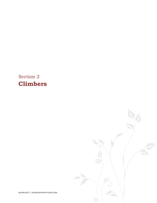Section 2
Climbers




NELSON SCOTT | AUSTRALIAN-NATIVE-PLANTS.COM   13
 