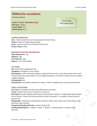 DROUGHT-BUSTING AUSTRALIAN NATIVE PLANTS                                                             SECTION 2:CLIMBERS




  Hibbertia scandens
  Guinea flower
                                                                                Click to View
  BASIC PLANT INFORMATION                                                    Plant Image Online
  Plant type: Climbers
  Growth Height: 0.5 m
  Growth Spread: 60 cm




 CHARACTERISTICS:
 Form: Smalll rounded shrub with compact growth and blunt leaves.
 Flowers: Flowers are bright yellow and large.
 Leaves: Leaves are green and covered with minute hairs.
 Primary Colours: Green.


 DROUGHT BUSTING PROPERTIES:
 Water Requirement: Low.
 Hardiness: High.
 Frost Tolerance: High.
 Exposure: Sun to Partial shade.


 CULTURE:
 Soil: Well drained sandy/gravelly soils.
 Propagation: Propagation is from cuttings.
 Plant Spacing: Tendrils of the plant will grow a couple of feet per month, so trim back to keep under control.
 It's best to keep some space between this and neighbouring plants, so the Hiberia scandens does not swallow
 neighbouring plants.
 Growing Speed: Fast.
 Pests/Diseases: Few problems with pests or diseases. Where damaged by pests, leaves grow back quickly.


 USES & FEATURES:
 Use: Brightens any garden with large clear yellow flowers and showy.
 In brief: Excellent ornamental for containers and rockeries.
 Best Features: Suitable as garden plant because of the profusion of flowers. It's bright yellow flowers appear
 most of the year. Flowers and red fruits will attract birds to the garden. It is suitable as a hardy climber or
 ground cover.
 Disadvantages: Depending on the gardener's perspective, flowers often attract many native insects, moths,
 butterflies, wasps and bees.
 Companion Plants/Goes Well with: Heuchera ‘Pewter Veil’.
 Varieties/Related Species: E. abbottii · E. abelii · E. abietina · E. abietina petraea · E. abietina subsp.
 Atrorosea.




 NELSON SCOTT | AUSTRALIAN-NATIVE-PLANTS.COM              15
 