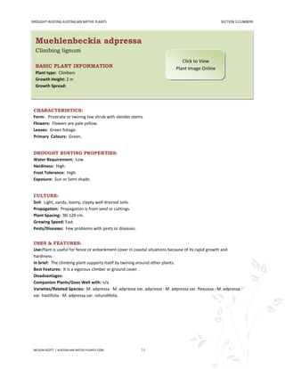 DROUGHT-BUSTING AUSTRALIAN NATIVE PLANTS                                                           SECTION 2:CLIMBERS




  Muehlenbeckia adpressa
  Climbing lignum
                                                                              Click to View
  BASIC PLANT INFORMATION                                                  Plant Image Online
  Plant type: Climbers
  Growth Height: 2 m
  Growth Spread:




 CHARACTERISTICS:
 Form: Prostrate or twining low shrub with slender stems.
 Flowers: Flowers are pale yellow.
 Leaves: Green foliage.
 Primary Colours: Green.


 DROUGHT BUSTING PROPERTIES:
 Water Requirement: Low.
 Hardiness: High.
 Frost Tolerance: High.
 Exposure: Sun or Semi shade.


 CULTURE:
 Soil: Light, sandy, loamy, clayey well drained soils.
 Propagation: Propagation is from seed or cuttings.
 Plant Spacing: 90-120 cm.
 Growing Speed: Fast.
 Pests/Diseases: Few problems with pests or diseases.


 USES & FEATURES:
 Use:Plant is useful for fence or enbankment cover in coastal situations because of its rapid growth and
 hardiness.
 In brief: The climbing plant supports itself by twining around other plants.
 Best Features: It is a vigorous climber or ground cover. .
 Disadvantages: .
 Companion Plants/Goes Well with: n/a
 Varieties/Related Species: M. adpressa · M. adpressa var. adpressa · M. adpressa var. flexuosa · M. adpressa
 var. hastifolia · M. adpressa var. rotundifolia.




 NELSON SCOTT | AUSTRALIAN-NATIVE-PLANTS.COM             16
 