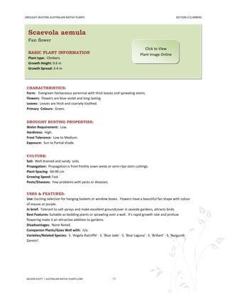 DROUGHT-BUSTING AUSTRALIAN NATIVE PLANTS                                                                  SECTION 2:CLIMBERS




  Scaevola aemula
  Fan flower
                                                                                   Click to View
  BASIC PLANT INFORMATION                                                       Plant Image Online
  Plant type: Climbers
  Growth Height: 0.6 m
  Growth Spread: 3-4 m




 CHARACTERISTICS:
 Form: Evergreen herbaceous perennial with thick leaves and sprwaling stems.
 Flowers: Flowers are blue-violet and long lasting.
 Leaves: Leaves are thick and coarsely toothed.
 Primary Colours: Green.


 DROUGHT BUSTING PROPERTIES:
 Water Requirement: Low.
 Hardiness: High.
 Frost Tolerance: Low to Medium.
 Exposure: Sun to Partial shade.


 CULTURE:
 Soil: Well drained and sandy soils.
 Propagation: Propagation is from freshly sown seeds or semi-ripe stem cuttings.
 Plant Spacing: 60-90 cm.
 Growing Speed: Fast.
 Pests/Diseases: Few problems with pests or diseases.


 USES & FEATURES:
 Use: Exciting selection for hanging baskets or window boxes. Flowers have a beautiful fan shape with colour
 of mauve or purple.
 In brief: Tolerant to salt sprays and make excellent groundcover in seaside gardens, attracts birds.
 Best Features: Suitable as bedding plants or sprawling over a wall. It's rapid growth rate and profuse
 flowering make it an attractive addition to gardens.
 Disadvantages: None Noted.
 Companion Plants/Goes Well with: n/a.
 Varieties/Related Species: S. 'Angela Ratcliffe' · S. 'Blue Jade' · S. 'Blue Laguna' · S. 'Brillant' · S. 'Burgundi
 Gemini'.




 NELSON SCOTT | AUSTRALIAN-NATIVE-PLANTS.COM                 19
 