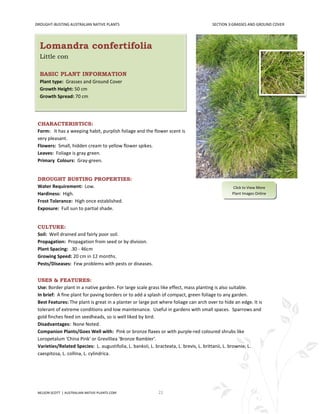 DROUGHT-BUSTING AUSTRALIAN NATIVE PLANTS                                              SECTION 3:GRASSES AND GROUND COVER




  Lomandra confertifolia
  Little con

  BASIC PLANT INFORMATION
  Plant type: Grasses and Ground Cover
  Growth Height: 50 cm
  Growth Spread: 70 cm




 CHARACTERISTICS:
 Form: It has a weeping habit, purplish foliage and the flower scent is
 very pleasant.
 Flowers: Small, hidden cream to yellow flower spikes.
 Leaves: Foliage is gray green.
 Primary Colours: Gray-green.


 DROUGHT BUSTING PROPERTIES:
 Water Requirement: Low.                                                                        Click to View More
 Hardiness: High.                                                                               Plant Images Online
 Frost Tolerance: High once established.
 Exposure: Full sun to partial shade.


 CULTURE:
 Soil: Well drained and fairly poor soil.
 Propagation: Propagation from seed or by division.
 Plant Spacing: .30 - 46cm
 Growing Speed: 20 cm in 12 months.
 Pests/Diseases: Few problems with pests or diseases.


 USES & FEATURES:
 Use: Border plant in a native garden. For large scale grass like effect, mass planting is also suitable.
 In brief: A fine plant for paving borders or to add a splash of compact, green foliage to any garden.
 Best Features: The plant is great in a planter or large pot where foliage can arch over to hide an edge. It is
 tolerant of extreme conditions and low maintenance. Useful in gardens with small spaces. Sparrows and
 gold finches feed on seedheads, so is well liked by bird.
 Disadvantages: None Noted.
 Companion Plants/Goes Well with: Pink or bronze flaxes or with purple-red coloured shrubs like
 Loropetalum 'China Pink' or Grevilliea 'Bronze Rambler'.
 Varieties/Related Species: L. augustifolia, L. banksii, L. bracteata, L. brevis, L. brittanii, L. brownie, L.
 caespitosa, L. collina, L. cylindrica.




 NELSON SCOTT | AUSTRALIAN-NATIVE-PLANTS.COM                21
 