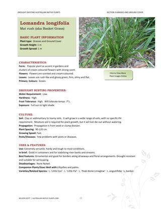 DROUGHT-BUSTING AUSTRALIAN NATIVE PLANTS                                                  SECTION 3:GRASSES AND GROUND COVER




  Lomandra longifolia
  Mat rush (aka Basket Grass)

  BASIC PLANT INFORMATION
  Plant type: Grasses and Ground Cover
  Growth Height: 1 m
  Growth Spread: 1 m




 CHARACTERISTICS:
 Form: Popular plant as accent in gardens and
 clusters of cream coloured flowers with strong scent.
 Flowers: Flowers are scented and cream-coloured.                                            Click to View More
                                                                                             Plant Images Online
 Leaves: Leaves are rush-like and glossy green, firm, shiny and flat.
 Primary Colours: Green.


 DROUGHT BUSTING PROPERTIES:
 Water Requirement: Low.
 Hardiness: High.
 Frost Tolerance: High. Will tolerate temps -7°c.
 Exposure: Full sun to light shade.


 CULTURE:
 Soil: Clay or sedimantary to loamy soils. It will grow in a wide range of soils, with no specific PH
 requirement. Mositure soil is required for plant growth, but it wil lnot die out without watering.
 Propagation: Propagation is from seed or clump division.
 Plant Spacing: 90-120 cm.
 Growing Speed: Fast.
 Pests/Diseases: Few problems with pests or diseases.


 USES & FEATURES:
 Use: Extremely versatile, hardy and tough to most conditions.
 In brief: Good in containers and for stabilizing river banks and streams.
 Best Features: Ornamental and good for borders along driveways and floral arrangements. Drought resistant
 and suitable for xeriscaping.
 Disadvantages: None Noted.
 Companion Plants/Goes Well with:Lillipillies and palms.
 Varieties/Related Species: L. 'Little Con' · L. 'Little Pal' · L. 'Peak Alone Limeglow' · L. angustifolia · L. banksii.




 NELSON SCOTT | AUSTRALIAN-NATIVE-PLANTS.COM                   22
 