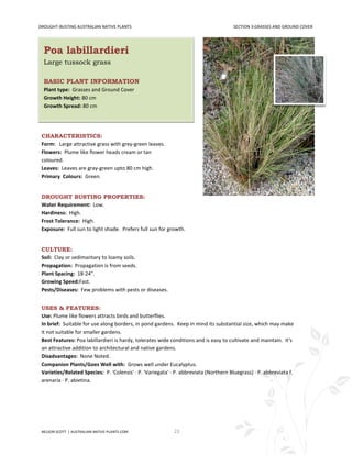 DROUGHT-BUSTING AUSTRALIAN NATIVE PLANTS                                               SECTION 3:GRASSES AND GROUND COVER




  Poa labillardieri
  Large tussock grass
                                                                                  Click to View
  BASIC PLANT INFORMATION                                                      Plant Image Online
  Plant type: Grasses and Ground Cover
  Growth Height: 80 cm
  Growth Spread: 80 cm




 CHARACTERISTICS:
 Form: Large attractive grass with grey-green leaves.
 Flowers: Plume like flower heads cream or tan
 coloured.
 Leaves: Leaves are gray-green upto 80 cm high.
 Primary Colours: Green.


 DROUGHT BUSTING PROPERTIES:
 Water Requirement: Low.
 Hardiness: High.
 Frost Tolerance: High.
 Exposure: Full sun to light shade. Prefers full sun for growth.


 CULTURE:
 Soil: Clay or sedimantary to loamy soils.
 Propagation: Propagation is from seeds.
 Plant Spacing: 18-24".
 Growing Speed:Fast.
 Pests/Diseases: Few problems with pests or diseases.


 USES & FEATURES:
 Use: Plume like flowers attracts birds and butterflies.
 In brief: Suitable for use along borders, in pond gardens. Keep in mind its substantial size, which may make
 it not suitable for smaller gardens.
 Best Features: Poa labillardieri is hardy, tolerates wide conditions and is easy to cultivate and maintain. It's
 an attractive addition to architectural and native gardens.
 Disadvantages: None Noted.
 Companion Plants/Goes Well with: Grows well under Eucalyptus.
 Varieties/Related Species: P. 'Colensis' · P. 'Variegata' · P. abbreviata (Northern Bluegrass) · P. abbreviata f.
 arenaria · P. abietina.




 NELSON SCOTT | AUSTRALIAN-NATIVE-PLANTS.COM                23
 