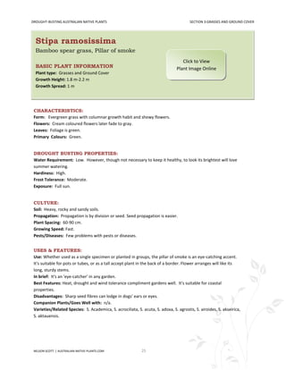 DROUGHT-BUSTING AUSTRALIAN NATIVE PLANTS                                                SECTION 3:GRASSES AND GROUND COVER




  Stipa ramosissima
  Bamboo spear grass, Pillar of smoke
                                                                                    Click to View
  BASIC PLANT INFORMATION                                                        Plant Image Online
  Plant type: Grasses and Ground Cover
  Growth Height: 1.8 m-2.2 m
  Growth Spread: 1 m




 CHARACTERISTICS:
 Form: Evergreen grass with columnar growth habit and showy flowers.
 Flowers: Cream coloured flowers later fade to gray.
 Leaves: Foliage is green.
 Primary Colours: Green.


 DROUGHT BUSTING PROPERTIES:
 Water Requirement: Low. However, though not necessary to keep it healthy, to look its brightest will love
 summer watering.
 Hardiness: High.
 Frost Tolerance: Moderate.
 Exposure: Full sun.


 CULTURE:
 Soil: Heavy, rocky and sandy soils.
 Propagation: Propagation is by division or seed. Seed propagation is easier.
 Plant Spacing: 60-90 cm.
 Growing Speed: Fast.
 Pests/Diseases: Few problems with pests or diseases.


 USES & FEATURES:
 Use: Whether used as a single specimen or planted in groups, the pillar of smoke is an eye-catching accent.
 It's suitable for pots or tubes, or as a tall accept plant in the back of a border. Flower arranges will like its
 long, sturdy stems.
 In brief: It's an 'eye-catcher' in any garden.
 Best Features: Heat, drought and wind tolerance compliment gardens well. It's suitable for coastal
 properties.
 Disadvantages: Sharp seed fibres can lodge in dogs' ears or eyes.
 Companion Plants/Goes Well with: n/a.
 Varieties/Related Species: S. Academica, S. acrociliata, S. acuta, S. adoxa, S. agrostis, S. airoides, S. akseirica,
 S. aktauensis.




 NELSON SCOTT | AUSTRALIAN-NATIVE-PLANTS.COM                 25
 