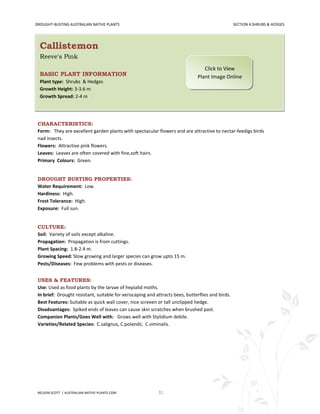 DROUGHT-BUSTING AUSTRALIAN NATIVE PLANTS                                                           SECTION 4:SHRUBS & HEDGES




  Callistemon
  Reeve's Pink
                                                                                  Click to View
  BASIC PLANT INFORMATION                                                      Plant Image Online
  Plant type: Shrubs & Hedges
  Growth Height: 3-3.6 m
  Growth Spread: 2-4 m




 CHARACTERISTICS:
 Form: They are excellent garden plants with spectacular flowers and are attractive to nectar-feedigs birds
 nad insects.
 Flowers: Attractive pink flowers.
 Leaves: Leaves are often covered with fine,soft hairs.
 Primary Colours: Green.


 DROUGHT BUSTING PROPERTIES:
 Water Requirement: Low.
 Hardiness: High.
 Frost Tolerance: High.
 Exposure: Full sun.


 CULTURE:
 Soil: Variety of soils except alkaline.
 Propagation: Propagation is from cuttings.
 Plant Spacing: 1.8-2.4 m.
 Growing Speed: Slow growing and larger species can grow upto 15 m.
 Pests/Diseases: Few problems with pests or diseases.


 USES & FEATURES:
 Use: Used as food plants by the larvae of hepialid moths.
 In brief: Drought resistant, suitable for xeriscaping and attracts bees, butterflies and birds.
 Best Features: Suitable as quick wall cover, nice screeen or tall unclipped hedge.
 Disadvantages: Spiked ends of leaves can cause skin scratches when brushed past.
 Companion Plants/Goes Well with: Grows well with Stylidium debile.
 Varieties/Related Species: C.salignus, C.polandii, C.viminalis.




 NELSON SCOTT | AUSTRALIAN-NATIVE-PLANTS.COM                31
 