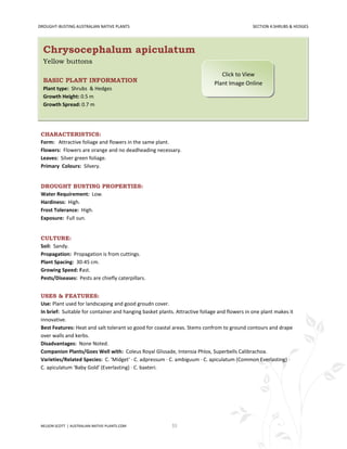 DROUGHT-BUSTING AUSTRALIAN NATIVE PLANTS                                                       SECTION 4:SHRUBS & HEDGES




  Chrysocephalum apiculatum
  Yellow buttons
                                                                                Click to View
  BASIC PLANT INFORMATION                                                    Plant Image Online
  Plant type: Shrubs & Hedges
  Growth Height: 0.5 m
  Growth Spread: 0.7 m




 CHARACTERISTICS:
 Form: Attractive foliage and flowers in the same plant.
 Flowers: Flowers are orange and no deadheading necessary.
 Leaves: Silver green foliage.
 Primary Colours: Silvery.


 DROUGHT BUSTING PROPERTIES:
 Water Requirement: Low.
 Hardiness: High.
 Frost Tolerance: High.
 Exposure: Full sun.


 CULTURE:
 Soil: Sandy.
 Propagation: Propagation is from cuttings.
 Plant Spacing: 30-45 cm.
 Growing Speed: Fast.
 Pests/Diseases: Pests are chiefly caterpillars.


 USES & FEATURES:
 Use: Plant used for landscaping and good groudn cover.
 In brief: Suitable for container and hanging basket plants. Attractive foliage and flowers in one plant makes it
 innovative.
 Best Features: Heat and salt tolerant so good for coastal areas. Stems confrom to ground contours and drape
 over walls and kerbs.
 Disadvantages: None Noted.
 Companion Plants/Goes Well with: Coleus Royal Glissade, Intensia Phlox, Superbells Calibrachoa.
 Varieties/Related Species: C. 'Midget' · C. adpressum · C. ambiguum · C. apiculatum (Common Everlasting) ·
 C. apiculatum 'Baby Gold' (Everlasting) · C. baxteri.




 NELSON SCOTT | AUSTRALIAN-NATIVE-PLANTS.COM               33
 