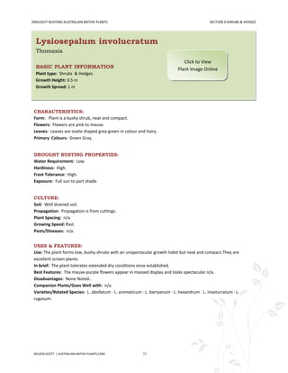 DROUGHT-BUSTING AUSTRALIAN NATIVE PLANTS                                                     SECTION 4:SHRUBS & HEDGES




  Lysiosepalum involucratum
  Thomasia
                                                                               Click to View
  BASIC PLANT INFORMATION                                                   Plant Image Online
  Plant type: Shrubs & Hedges
  Growth Height: 0.5 m
  Growth Spread: 1 m




 CHARACTERISTICS:
 Form: Plant is a bushy shrub, neat and compact.
 Flowers: Flowers are pink to mauve.
 Leaves: Leaves are ovate shaped grey-green in colour and hairy.
 Primary Colours: Green Gray.


 DROUGHT BUSTING PROPERTIES:
 Water Requirement: Low.
 Hardiness: High.
 Frost Tolerance: High.
 Exposure: Full sun to part shade.


 CULTURE:
 Soil: Well drained soil.
 Propagation: Propagation is from cuttings.
 Plant Spacing: n/a.
 Growing Speed: Fast.
 Pests/Diseases: n/a.


 USES & FEATURES:
 Use: The plant forms low, bushy shrubs with an unspectacular growth habit but neat and compact.They are
 excellent screen plants.
 In brief: The plant tolerates extended dry conditions once established.
 Best Features: The mauve-purple flowers appear in massed display and looks spectacular.n/a.
 Disadvantages: None Noted..
 Companion Plants/Goes Well with: n/a.
 Varieties/Related Species: L. abollatum · L. aromaticum · L. barryanum · L. hexandrum · L. involucratum · L.
 rugosum.




 NELSON SCOTT | AUSTRALIAN-NATIVE-PLANTS.COM              36
 