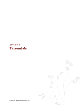Section 5
Perennials




NELSON SCOTT | AUSTRALIAN-NATIVE-PLANTS.COM   41
 