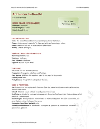 DROUGHT-BUSTING AUSTRALIAN NATIVE PLANTS                                                             SECTION 5:PERENNIALS




  Actinotus helianthi
  Flannel flower
                                                                                 Click to View
  BASIC PLANT INFORMATION                                                     Plant Image Online
  Plant type: Perennials
  Growth Height: 0.5-1.5 m
  Growth Spread: 30 cms




 CHARACTERISTICS:
 Form: The pure white star blooms have an intriguing flannel like texture.
 Flowers: Inflorescence is 'daisy like' in shape and white and green tipped colour.
 Leaves: Leaves are soft and an attractive grey-green colour.
 Primary Colours: Silver-gray.


 DROUGHT BUSTING PROPERTIES:
 Water Requirement: Low.
 Hardiness: Moderate.
 Frost Tolerance: Moderate.
 Exposure: Full sun or part shade.


 CULTURE:
 Soil: Sandy and well drained acidic soil.
 Propagation: Propagation is by fresh seed/cuttings.
 Plant Spacing: 45-60 cm. For seedlings, plant 20 cms apart for best results.
 Growing Speed: Fast.
 Pests/Diseases: Few problems with pests or diseases.


 USES & FEATURES:
 Use: This plant can look a bit scraggly if planted alone, but is a perfect companion plant when planted
 amongst other plants.
 In brief: Relatively easy to cultivate in sandly soils or raised beds.
 Best Features: Suitable for rockery or cottage garden. Expect profuse flowering in the second year, which
 makes for a lovely display.
 Disadvantages: Needs protection from wind due to shallow root system. The plant is short lived, and
 generally does not survive beyond four years.
 Companion Plants/Goes Well with: n/a.
 Varieties/Related Species: A. bellidioides · A. forsythii · A. gibbonsii · A. gibbonsii var. baeuerlenii · A.
 gibbonsii var. gibbonsii.




 NELSON SCOTT | AUSTRALIAN-NATIVE-PLANTS.COM               42
 