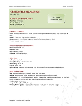 DROUGHT-BUSTING AUSTRALIAN NATIVE PLANTS                                                           SECTION 5:PERENNIALS




  Thysanotus multiflorus
  Fringed lily
                                                                                Click to View
  BASIC PLANT INFORMATION                                                    Plant Image Online
  Plant type: Perennials
  Growth Height: 15-50 cm
  Growth Spread: 30-45 cm




 CHARACTERISTICS:
 Form: Plant grows to the size of a soccer ball with lush, mid-green folidage in narrow strips from centre of
 plant.
 Flowers: Flowers are three petalled and purple.
 Leaves: Lush, Mid-green foliage rising in narrow strips from the centre of the plant.
 Primary Colours: Green.


 DROUGHT BUSTING PROPERTIES:
 Water Requirement: Low.
 Hardiness: High.
 Frost Tolerance: Hardy.
 Exposure: Sun to partial shade.


 CULTURE:
 Soil: Well drained soil.
 Propagation: Propagation is from seeds.
 Plant Spacing: 22-30 cm.
 Growing Speed: Fast.
 Pests/Diseases: Snails can pose a problem. Root and collar roots are a problem during wet periods.


 USES & FEATURES:
 Use: They are wonderful pot plants and easy to grow from seeds.
 In brief: The plant grows only to about the size of a soccer-ball with contrasting foliage.
 Best Features: The contrasting foliage and beautiful three petalled flowers fringed with a delicate collection
 of hair, giving a halo effect around each flower is a great addition to any garden.
 Disadvantages: None noted.
 Companion Plants/Goes Well with: n/a.
 Varieties/Related Species: T. acerosifolius · T. anceps · T. arbuscula · T. arenarius · T. asper.




 NELSON SCOTT | AUSTRALIAN-NATIVE-PLANTS.COM              46
 