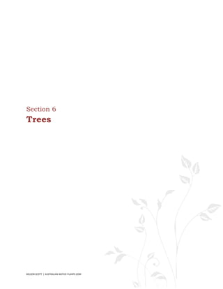 Section 6
Trees




NELSON SCOTT | AUSTRALIAN-NATIVE-PLANTS.COM   47
 