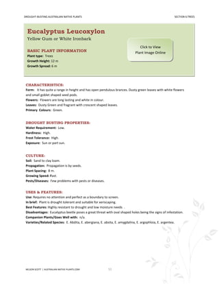 DROUGHT-BUSTING AUSTRALIAN NATIVE PLANTS                                                               SECTION 6:TREES




  Eucalyptus Leucoxylon
  Yellow Gum or White Ironbark
                                                                               Click to View
  BASIC PLANT INFORMATION                                                   Plant Image Online
  Plant type: Trees
  Growth Height: 12 m
  Growth Spread: 6 m




 CHARACTERISTICS:
 Form: It has quite a range in height and has open pendulous brances. Dusty green leaves with white flowers
 and small goblet shaped seed pods.
 Flowers: Flowers are long lasting and white in colour.
 Leaves: Dusty Green and fragrant with crescent shaped leaves.
 Primary Colours: Green.


 DROUGHT BUSTING PROPERTIES:
 Water Requirement: Low.
 Hardiness: High.
 Frost Tolerance: High.
 Exposure: Sun or part sun.


 CULTURE:
 Soil: Sand to clay loam.
 Propagation: Propagation is by seeds.
 Plant Spacing: 8 m.
 Growing Speed: Fast.
 Pests/Diseases: Few problems with pests or diseases.


 USES & FEATURES:
 Use: Requires no attention and perfect as a boundary to screen.
 In brief: Plant is drought tolerant and suitable for xeriscaping.
 Best Features: Highly resistant to drought and low moisture needs .
 Disadvantages: Eucalyptus beetle poses a great threat with oval shaped holes being the signs of infestation.
 Companion Plants/Goes Well with: n/a.
 Varieties/Related Species: E. Abdita, E. abergiana, E. absita, E. amygdalina, E. argophloia, E. argentea.




 NELSON SCOTT | AUSTRALIAN-NATIVE-PLANTS.COM             51
 