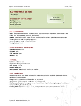 DROUGHT-BUSTING AUSTRALIAN NATIVE PLANTS                                                                 SECTION 6:TREES




  Eucalyptus caesia
  Gungurru
                                                                                 Click to View
  BASIC PLANT INFORMATION                                                     Plant Image Online
  Plant type: Trees
  Growth Height: 9 m
  Growth Spread: 9 m




 CHARACTERISTICS:
 Form: Attractive deep brown bark which peal in thin and curling strips to reveal a pale undersurface. A small
 type of plant with silvery gray leaves and reddish stems.
 Flowers: Flowers are large and pinkish to red in colour with yellow anthers. Flowering occurs in winter and
 spring. Flowers have large urn shapped "gumnuts".
 Leaves: Deep green foliage with a whitish bloom.
 Primary Colours: Green.


 DROUGHT BUSTING PROPERTIES:
 Water Requirement: Low.
 Hardiness: High.
 Frost Tolerance: High.
 Exposure: Sun.


 CULTURE:
 Soil: Loam and clayey soil.
 Propagation: Propagation is by seeds.
 Plant Spacing: 4.7-6 m.
 Growing Speed: Fast.
 Pests/Diseases: Few problems with pests or diseases.


 USES & FEATURES:
 Use: Attractive accent plant or tree with beautiful flowers. It is suitable for containers and has low moisture
 needs and is drought resistant.
 In brief: Plant is drought tolerant and suitable for xeriscaping.
 Best Features: Highly resistant to drought and low moisture needs .
 Disadvantages: Eucalyptus beetle poses a great threat with oval shaped holes being the signs of infestation.
 Companion Plants/Goes Well with: n/a.
 Varieties/Related Species: Eucaplytus nutans, Eucalyptus 'Dale Chapman', Eucalyptus 'Golden Crown'.




 NELSON SCOTT | AUSTRALIAN-NATIVE-PLANTS.COM               52
 