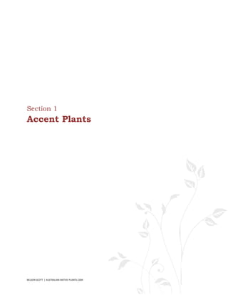 Section 1
Accent Plants




NELSON SCOTT | AUSTRALIAN-NATIVE-PLANTS.COM   8
 