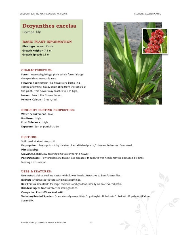 Drought Busting Australian Native Plants