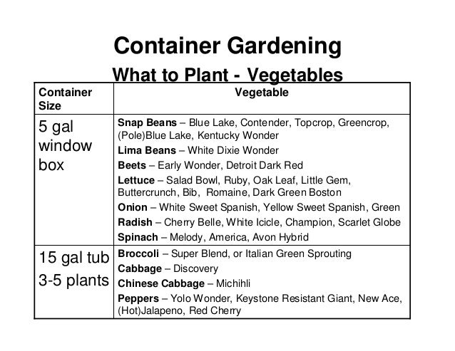 Flower Ve able panion Gardening South Haven Garden Club Mic… Container Gardening