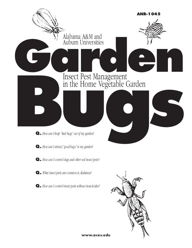 Garden Insect Pest Management In The Home Vegetable Garden Auburn U