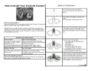 How to Build Your Keyhole Garden                                                     Steps in Construction

                                                                                            • A circle 2 metres across is cleared.
                                                                                            • Four corner posts are secured into the
                                                                                            ground.



                                                                                            • The outline of the garden is marked with
                                                                                            stones.
                                                                                            • The outline dips inwards at the center.

What is a keyhole garden?
Each keyhole garden has a composting basket built into its center. This gives the
garden a keyhole shape when viewed from above.

The garden uses a number of layers to retain moisture and nourish the soil,                 • The basket is encircled with rope and lined
making it more productive than a conventional garden. The composting basket                 with thatching grass to allow water that is
replenishes the soil's nutrients as well. The garden is made from materials that            poured into the basket to flow into the garden
are all available at low cost.                                                              soil.




                        Benefits of the keyhole garden
Soil enrichment                      Labor saving technology                                • The first layer of the garden is:
• The layers of organic materials    • The soil re-nourishment and moisture                     • iron scraps such as empty food and
decompose over time, adding          retention reduce the amount of time required                  beverage cans
nutrients to the soil.               to maintain the garden.                                    • aloe leaves
• The central composting basket      • The garden shape makes it more                           • dry animal bones
continuously replenishes the soil.   accessible to sick or elderly gardeners.                   • broken clay pots, which can be
Moisture retention                   Low-cost design                                               substituted with fist-size stones
• The layers soak up moisture, so    • All construction materials should be readily         • These materials provide minerals to the soil
the garden requires less water to    available (at no cost) to gardeners.                      as well as drainage in heavy rains.
remain moist.                        • Gardeners might need to purchase seeds
                                     for planting, however.                                • The first layer is covered with soil that gives
                                                                                           nutrients, thatching grass that retains moisture,
Year-round vegetable production                                                            and wood ash that provides potassium.
• The stones of the keyhole garden wall absorb heat from the sun, protecting               • Every layer should slope downwards from the
crops from the cold winter temperatures in Lesotho.                                        basket so water can flow properly into the soil.
                                                                                           • Soil is added on top of the wood ash.



                                                                                                                            Continued
 