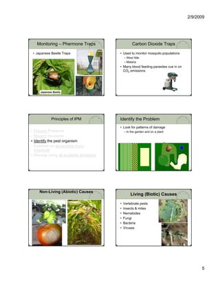 2/9/2009




      Monitoring – Phermone Traps                   Carbon Dioxide Traps

    • Japanese Beetle Traps               • Used to monitor mosquito populations
                                              – West Nile
                                              – Malaria
                                          • Many blood feeding parasites cue in on
                                            CO2 emissions




        Japanese Beetle




                Principles of IPM         Identify the Problem
                                          • Look for patterns of damage
• Prevent Problems                            – In the garden and on a plant
• Monitor the plants
                                          Uniform Damage                 Non-Uniform Damage
• Identify the pest organism
         y     p      g
• Establish an acceptable injury
  threshold
• Manage using all available strategies




        Non-Living (Abiotic) Causes
                                                  Living (Biotic) Causes

                                          •   Vertebrate pests
                                          •   Insects & mites
                                          •   Nematodes
                                          •   Fungi
                                          •   Bacteria
                                          •   Viruses




                                                                                               5
 