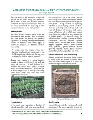 MANAGING INSECTS NATURALLY IN THE VEGETABLE GARDEN
                                        by George Bushell*

The vast majority of insects in a vegetable           the reproductive cycle of some insects,
garden do no harm, many are beneficial,               particularly those relatively immobile species
while only a few are actually harmful.                that over-winter in the ground or in specific
Moreover, the impact of most insect pests can         host plants. Crop rotation is especially
be easily minimized by practising a little            effective at discouraging several soil-borne
prevention, tolerance and management.                 diseases, including bean root rot, club root,
                                                      bacterial diseases of tomatoes and various
Healthy Plants                                        potato afflictions, all of which can weaken
The best defence against insect pests and             your plants and make them more susceptible
diseases is a good offence. Start by ensuring         to insect attack. In general, rotate the
that your plants are healthy and growing              following plant families: brassicas (cabbage,
vigorously. A healthy, strong plant can better        cauliflower, broccoli, brussels sprouts,
tolerate or rebound from many types of                turnips, radish), solanaceous plants (tomato,
insects and diseases. As Thomas Jefferson             pepper, eggplant, potato), roots (carrots,
once wrote:                                           beets, parsnips), greens (lettuce, endive,
                                                      spinach), legumes (beans, peas), cucurbits
 "I suspect that the insects which have               (cucumbers, melons, squashes) and corn.
 harassed you have been encouraged by the
 feebleness of your plants; and that has been         Garden Sanitation and Composting
 produced by the lean state of your soil."
                                                      Garden sanitation is important for the control
 Locate your garden in a sunny location,              of many pests, so remove vegetable refuse
provide a loose, well-drained soil and add            from the garden and compost it to reduce the
plenty of compost. If soil drainage is a              overwintering success of some insects.
problem, use raised beds (apply a compost
mulch to conserve moisture). While the pH
of a rich, organic soil is usually satisfactory,
some acidic sandy soils may need some
supplemental limestone.




      Raised Beds Covered with Compost                            Homemade Compost Bin

Crop Rotation                                         Bio-Diversity
If you rotate your vegetables or families of          Increase bio-diversity by planting only small
related vegetables each year, you may break           quantities of the same vegetable in any one

* Pictures used in this article were either taken by the author or obtained
 from University and Government websites (both Provincial and State).                             1
 