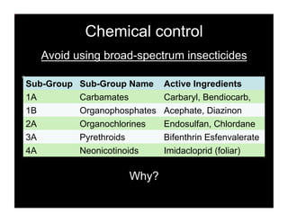 Methods for Attracting and Preserving Beneficial Insects | PDF